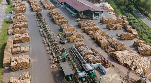 HILO - Holzindustrie Losheim - Bois de sciage - Palettes - Bois rond