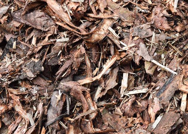 Douglas fir bark - Home
