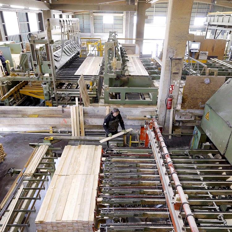 New sawn timber sorting plant